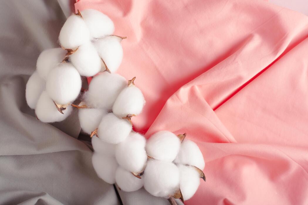 Premium Cotton Quality